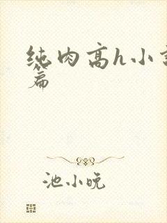 纯肉高h小说短篇