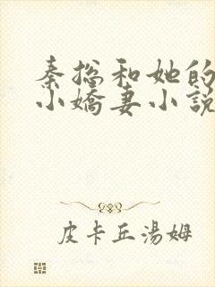 秦总和她的影后小娇妻小说免费阅读全文