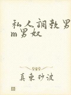 私人调教男性sm男奴封面