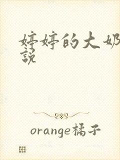 婷婷的大奶子小说封面