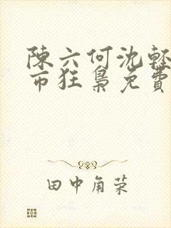 陈六何沈轻舞都市狂枭免费阅读笔趣阁