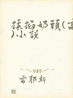 揉掐奶头(高h)小说封面