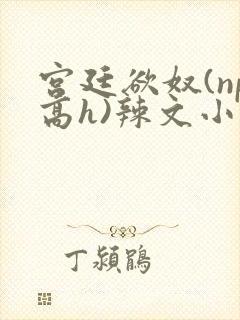 宫廷欲奴(np高h)辣文小说