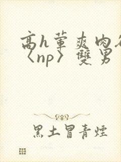 高h荤爽肉欲文〈np〉双男