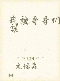 我被哥哥们操小说