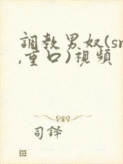 调教男奴(sm,重口)视频