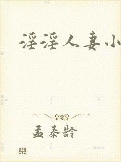 淫淫人妻小说封面