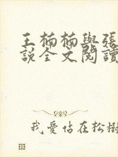 王楠楠与张浩小说全文阅读封面