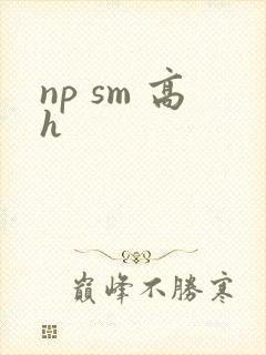 np sm 高h