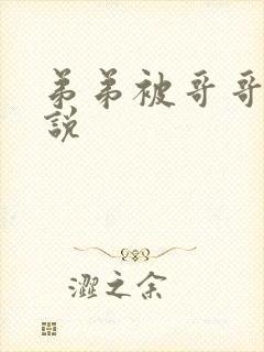 弟弟被哥哥打小说