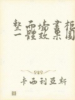 整面墙书柜书桌一体效果图封面