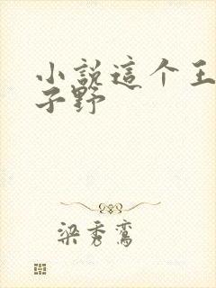 小说这个王妃路子野