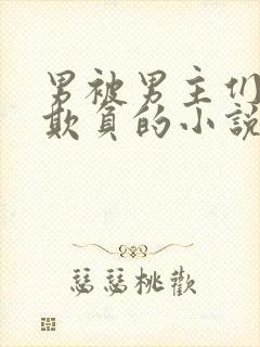 男被男主们轮流欺负的小说