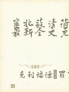 宁北苏清荷小说最新全文免费阅读