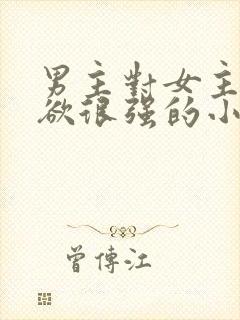 男主对女主占有欲很强的小说