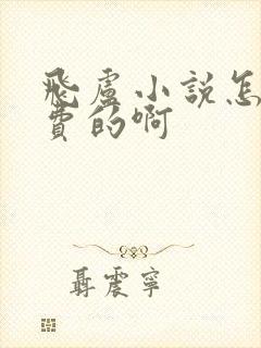 飞卢小说怎么收费的啊