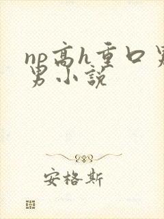 np高h重口男男小说