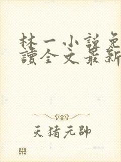 林一小说免费阅读全文最新章节