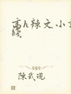 高h辣文小说在线