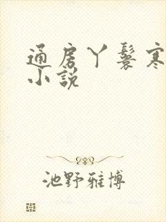 通房丫鬟寒江雪小说