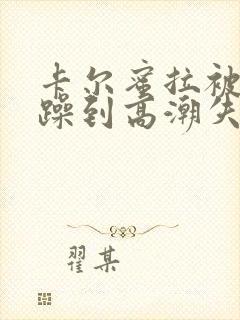 卡尔蜜拉被狂c躁到高潮失禁小说