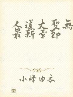 人道大圣无弹窗最新章节