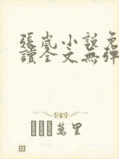 张岚小说免费阅读全文无弹窗