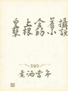 皇上含着摄政王孽根的小说