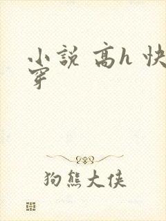 小说 高h 快穿