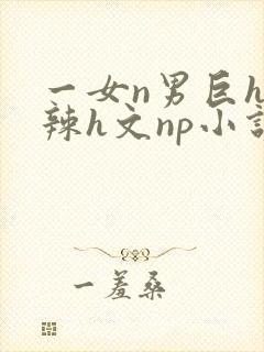 一女n男巨h高辣h文np小说