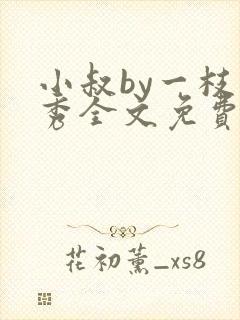 小叔by一枝独秀全文免费阅读笔趣阁最