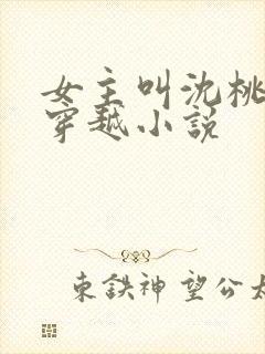 女主叫沈桃桃的穿越小说