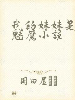 我的妹妹是噬精魅魔小说