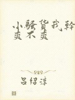 小骚货我干的你爽不爽封面