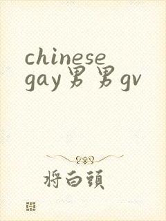 chinesegay男男gv