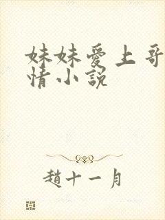 妹妹爱上哥哥言情小说封面