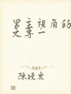 男主视角的言情文专一