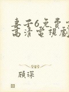 妻子6免费完整高清电视剧在线封面