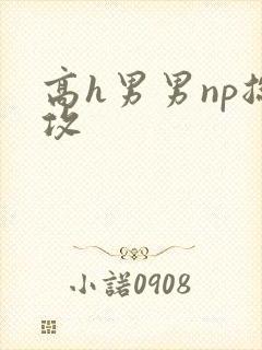 高h男男np总攻