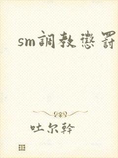 sm调教惩罚h