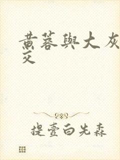 黄蓉与大灰狼淫交