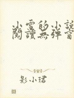 小雪的小说免费阅读无弹窗最新章节