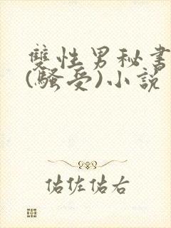 双性男秘书巨乳(骚受)小说