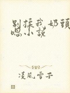 别揉我奶头啊嗯嗯小说