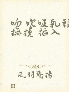 吻 吮吸乳头 抚摸 插入