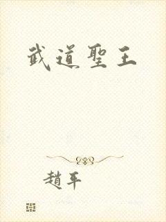 武道圣王