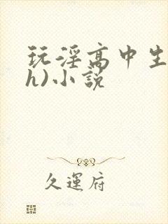 玩淫高中生(高h)小说