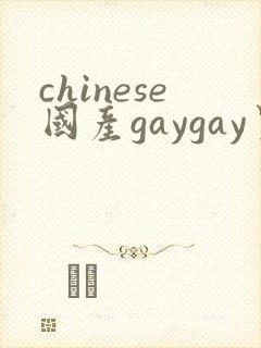 chinese国产gaygay男男网站
