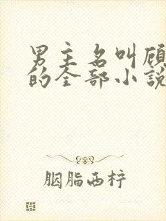 男主名叫顾北川的全部小说