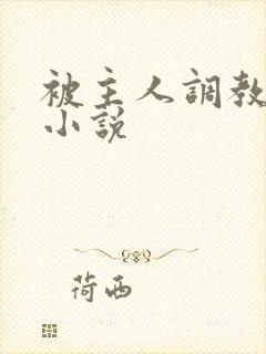 被主人调教惩罚小说